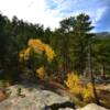 Some bright yellows.
Central Black Hills.