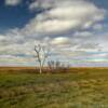 Quintessential
South Dakota countryside.
Clark County.