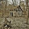 Late 1800's residencial remains~
(Near Milldale, Tennessee)