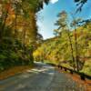 Little River Road.
'looking west'
Near Cades Cove.