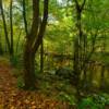 Autumn near Cades Cove, TN.