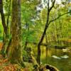 The Little River.
During autumn.