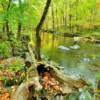 More brilliant colors along
the Little River.