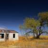 One of a number of 
abandoned ranch houses.
Lamb County, TX.