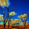 Roadside rest stop-west Texas