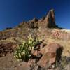 Mount Tule.
Big Bend National Park.