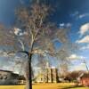 Milam County Courthouse.
(from the south lawn)
