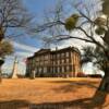 Mills County Courthouse.
Goldthwaite, TX.