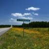 A spring peek along a 
county road in May.