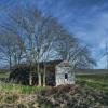 A secluded old home in
rural central Texas.