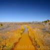 North Fork-Red River~
Near Twitty, Texas.