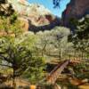 Virgin River Walking Bridge~
Floor Of The Valley~
Zion Canyon, Utah.