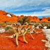 Arches National Park.
Upper Arch.
(western angle)
