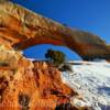 Wilson Arch~
(northern angle)