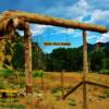 Nine Mile Ranch-near Green River, Utah