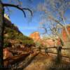 Zion National Park~
'Floor Of The Valley' 
Virgin River walking bridge.