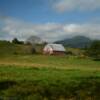 Beautiful 1940's cattle barn.
Albemarle County.