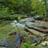 Whiteside Branch.
Central Virginia Rapids.