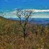 Post-autumn scenery.
Central Virginia.
(Blue Ridge Parkway).