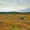 Grays River Valley &
Covered Bridge~