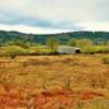 Grays River Valley & Bridge~
(opposite view)