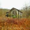 "Yesteryear"
1880's residential remains.
Near Grafton, WV.