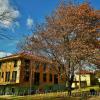 Lock House Museum~
Ravenswood, WV.