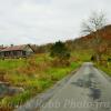 Early 1900's squatters house~
Near Charmco, WV.