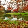 Cook's Old Mill~
Greenville, WV.