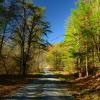 Turkey Creek Lane~
Monroe County, WV.