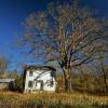 1860's homestead~
Sink's Grove, WV.