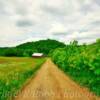 Turtle Hills~
Near Newburg Corners, WI.~