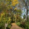 Michicot Nature Trail.
Northeast Wisconsin.