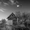 B&W of an old shed.
Chippewa County.