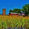 Quintessential Wisconsin crop farm-near Fairchild, Wisconsin