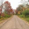 Northern Wisconsin
autumn foliage.