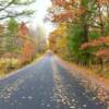 More autumn foliage.
Chippewa County.