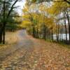 More beautifully fallen leaves.
Northern Wisconsin.