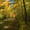 Ellison Bluff State Preserve.
Amber fall brilliance.