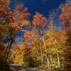 More autumn beauty.
Near Gills Rock.
Northern Door County.