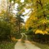 Another scenic drive-lane.
Washington Island.