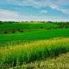 Beautiful lush green scenery~
Green County, Wisconsin.