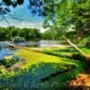 Mirror Lake State Park~
Secluded spot & pontoon boat~
(Near Reedsburg, Wisconsin).