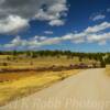 Shoshone National Forest~
(South of Lander, Wyoming).