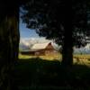 T.A. Moulton Barn.
(framed on the trees)
