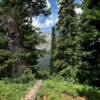 Northern pines of Wyoming.
Along Jenny Lake & Tetons.