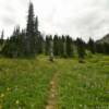 Gap Lakes Trail
Snowy Range Pass.