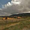 Centennial, Wyoming.
Museum & old depot.