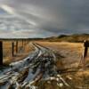 Snow rutted ranch entrance.
Goshen County.