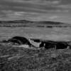 Partially submerged vehicles
from the 1930's.
Goshen County.